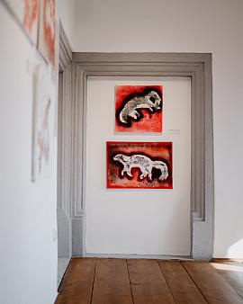 Port 1560 Gallery