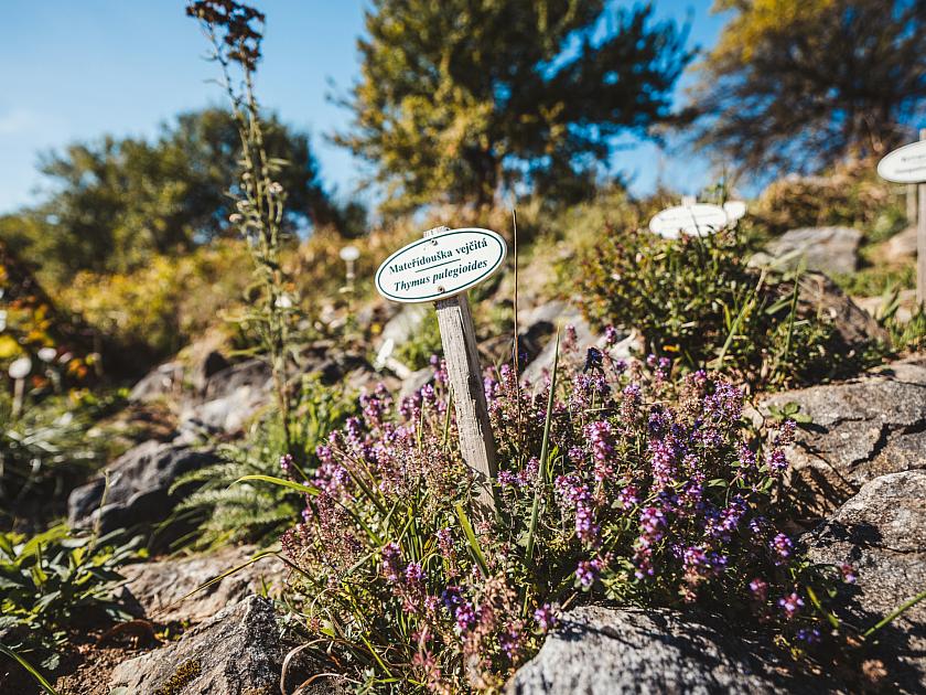 Vyšný Hills nature trail