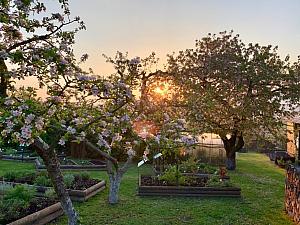 Garten „Magische Kräuter“