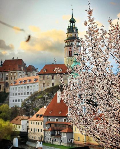 [EN👇] Krásný 1. máj! 🌸 Jak ho trávíte?

Takto zachytil jaro krumlovský fotograf 📸 @fotosvacek. Děkujeme! ☺️
_________
Please read the English text in the comments.

#ceskykrumlovofficial #ceskykrumlovregion #jiznicechy #ceskykrumlov #krumlov #jihoceskykraj #unesco #uzasnamista #fotimecesko #krasnecesko #uzasnecesko #kudyznudy #svetovecesko #czechrepublic #visitczechia #visitcz