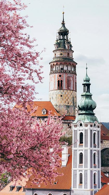 [EN👇] V Českém Krumlově vše nádherně kvete. 🌸 Tak to nezmeškejte! ☺️
_________
Please read the English text in the comments.

#ceskykrumlovofficial #ceskykrumlovregion #jiznicechy #ceskykrumlov #krumlov #jihoceskykraj #unesco #uzasnamista #fotimecesko #krasnecesko #uzasnecesko #kudyznudy #svetovecesko #czechrepublic #visitczechia #visitcz