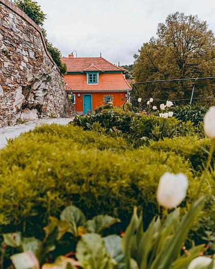 Zahradní domek Egona Schieleho se probudil ze zimního spánku a zve k návštěvě! 🍀

Otevřeno je denně od 11h do 19h a navštívit tu můžete ateliér malíře Egona Schieleho nebo si prohlédnout výstavu fotografických aktů Terezy z Davle. Otevřená je i kavárna. 😊

📸 @weilfernweh

#ceskykrumlovofficial #ceskykrumlovregion #jiznicechy #ceskykrumlov #krumlov #jihoceskykraj #unesco #uzasnamista #fotimecesko #krasnecesko #uzasnecesko #kudyznudy #svetovecesko #ceskarepublika #czechrepublic #visitczechrepublic #visitcz #egonschiele #gardenhouse