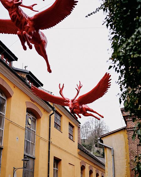 Sledujte Krumlov na síti, foto 8