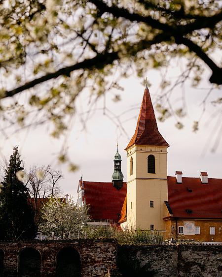 Sledujte Krumlov na síti, foto 10