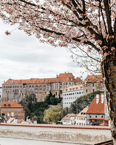 Sledujte Krumlov na síti, foto 11