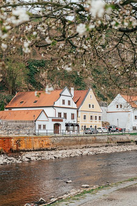 Sledujte Krumlov na síti, foto 10