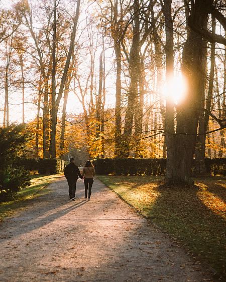 Sledujte Krumlov na síti, foto 4