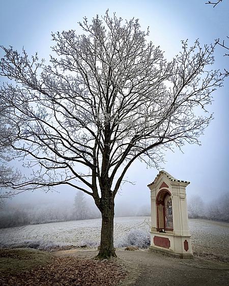 Sledujte Krumlov na síti, foto 12