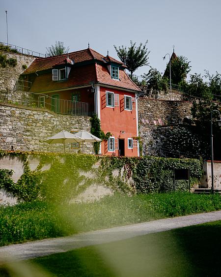 Sledujte Krumlov na síti, foto 12